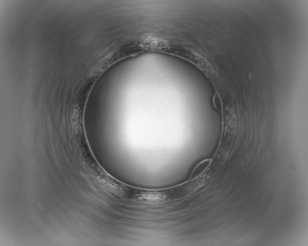 X0000078260659200611172006