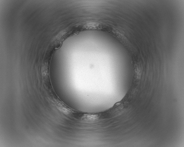 X0000078260665200611172006