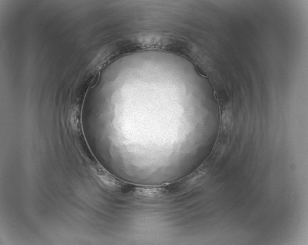 X0000078260671200611172006