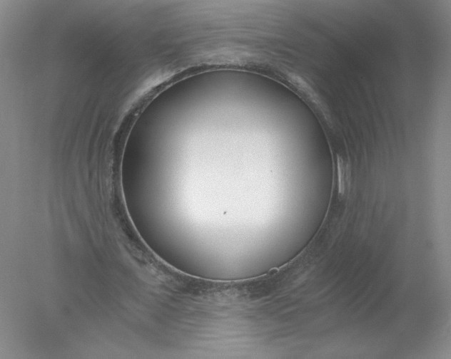 X0000078260675200611172005