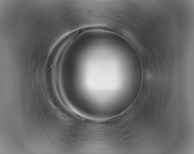 X0000078260676200611172005