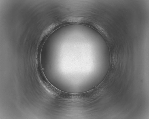X0000078260682200611172005