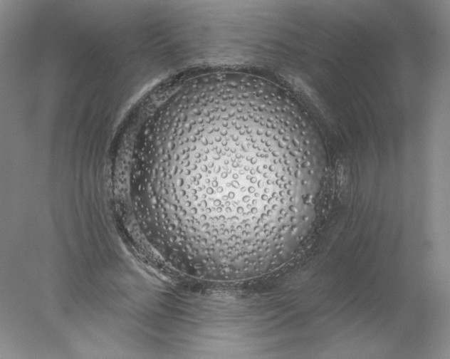 X0000078260684200611172005