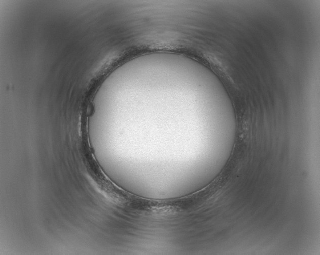 X0000078260686200611172005