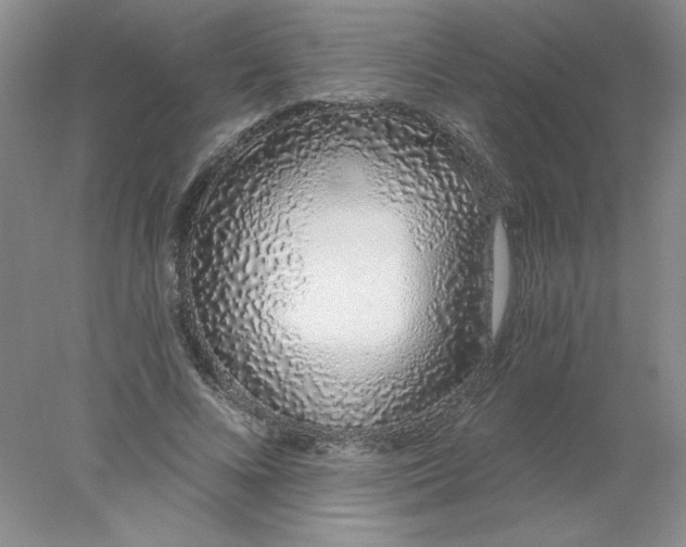 X0000078260688200611172005
