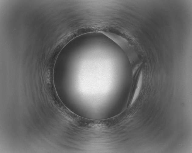X0000078260689200611172005