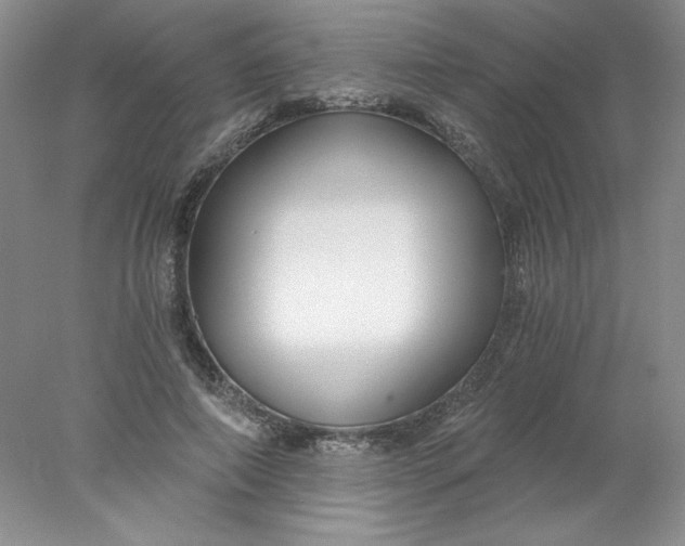 X0000078260690200611172005