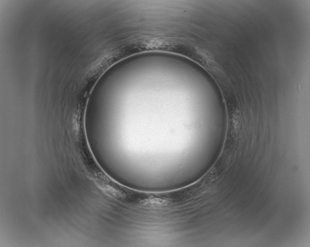 X0000078260691200611172005