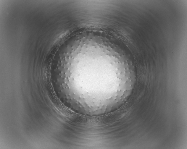 X0000078260692200611172005