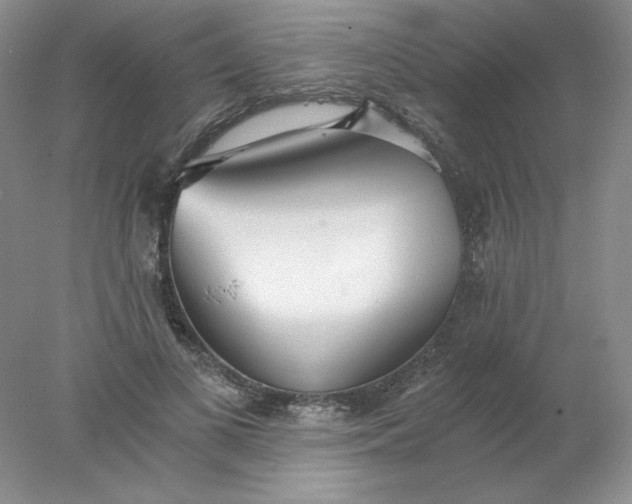 X0000078260693200611172005