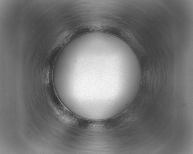 X0000078260694200611172005