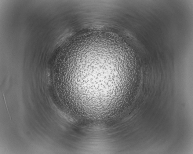 X0000078260696200611172005