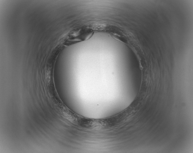 X0000078260697200611172005