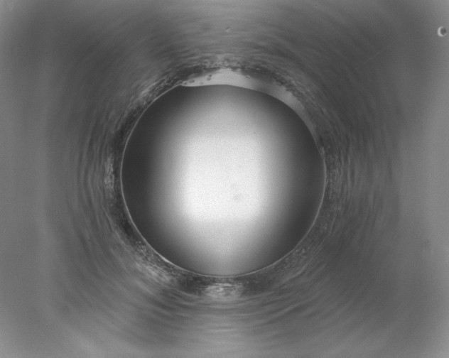 X0000078260700200611172005