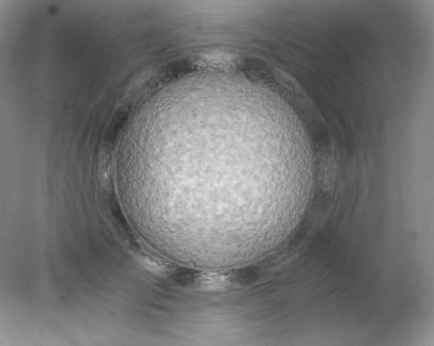X0000078260701200611172005