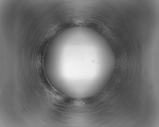 X0000078260702200611172005