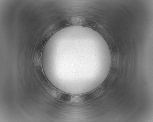 X0000078260705200611172005