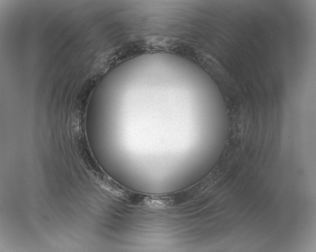 X0000078260706200611172005