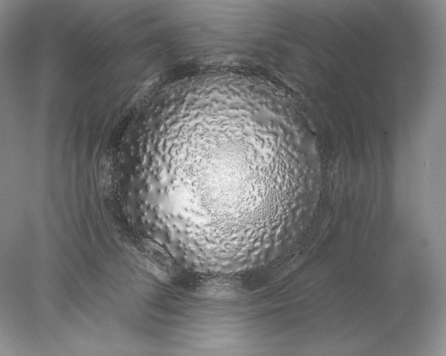 X0000078260708200611172005