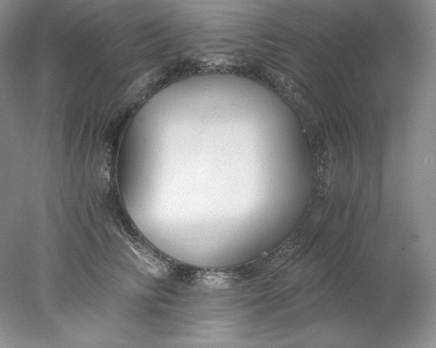 X0000078260710200611172005