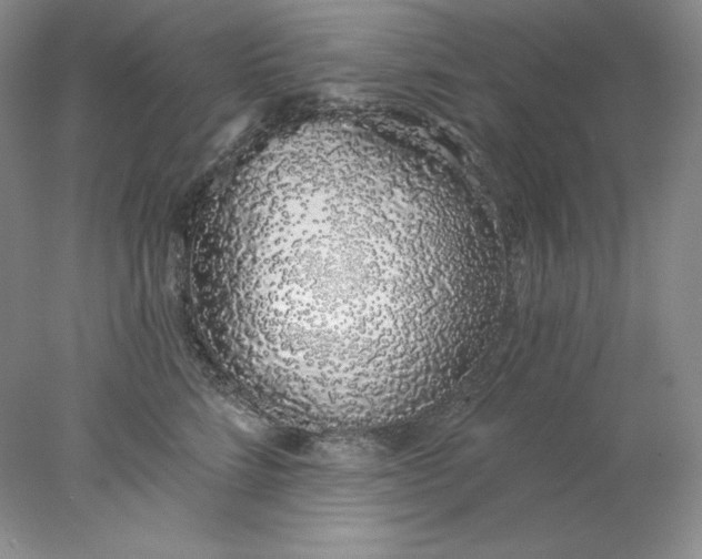 X0000078260712200611172005