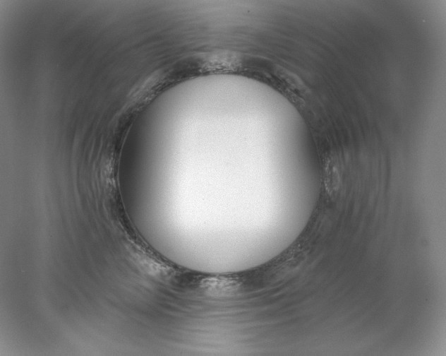 X0000078260714200611172005