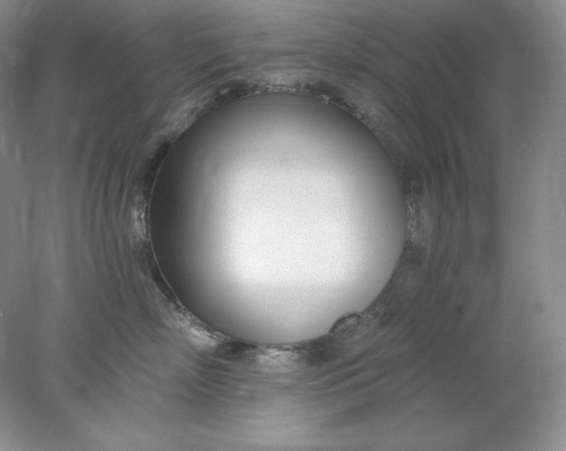 X0000078260718200611172005