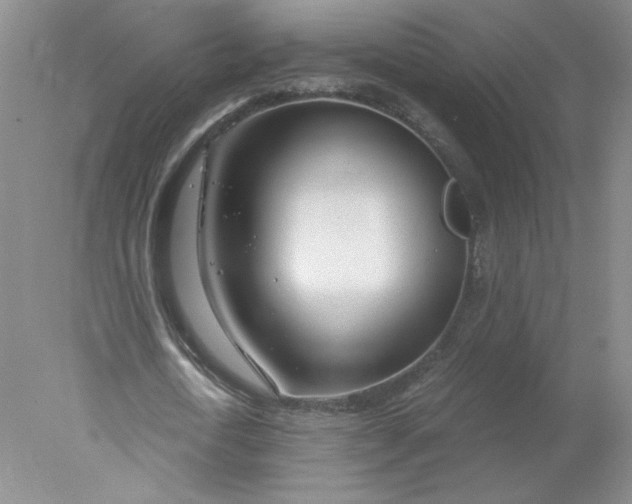 X0000078260722200611172004