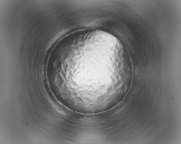X0000078260725200611172004