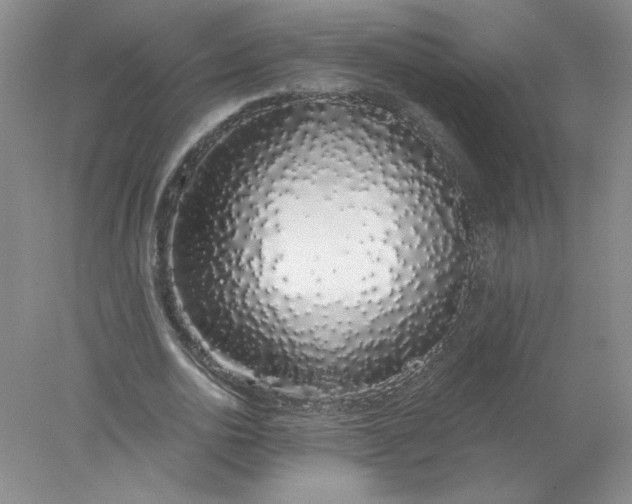 X0000078260726200611172004
