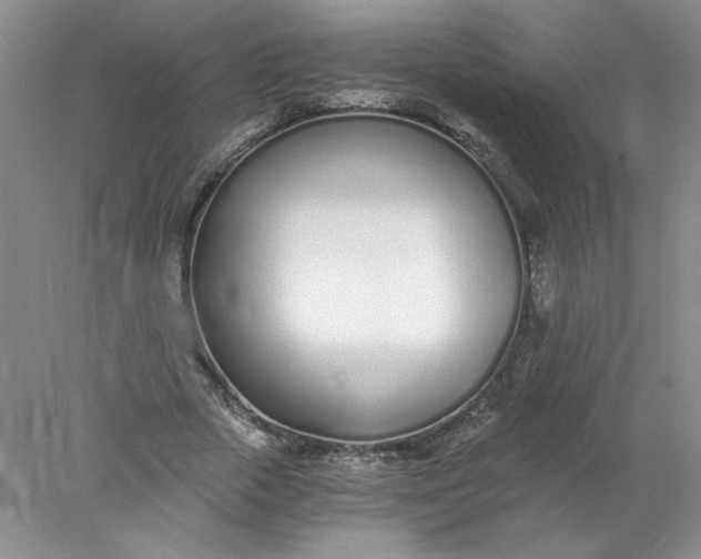 X0000078260729200611172004