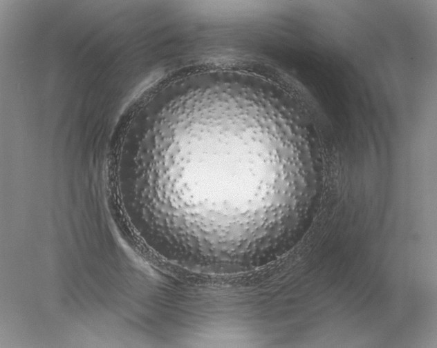 X0000078260730200611172004