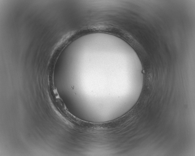 X0000078260734200611172004