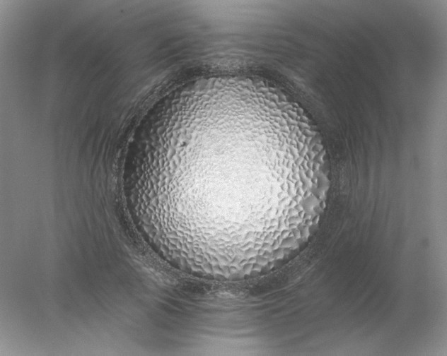 X0000078260737200611172004