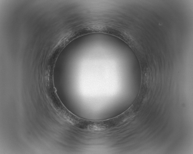 X0000078260739200611172004
