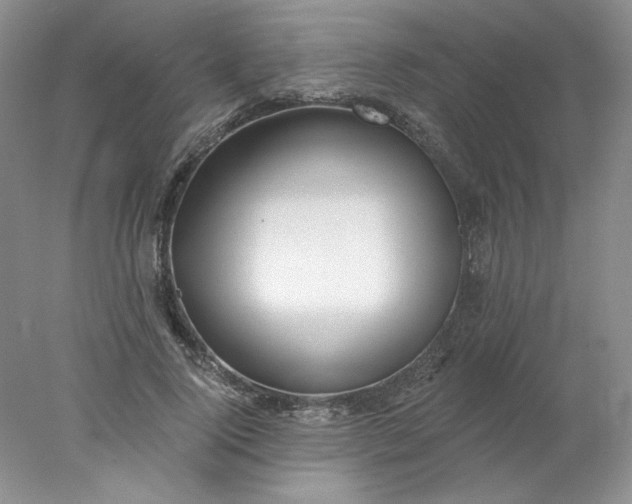 X0000078260740200611172004