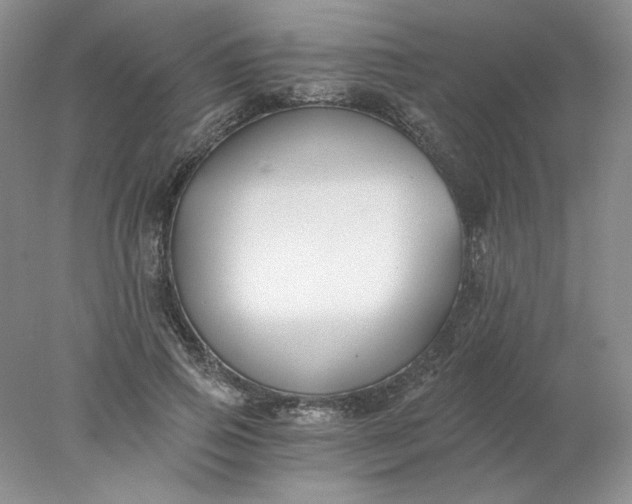 X0000078260741200611172004