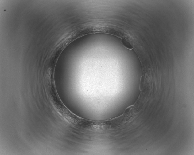 X0000078260744200611172004