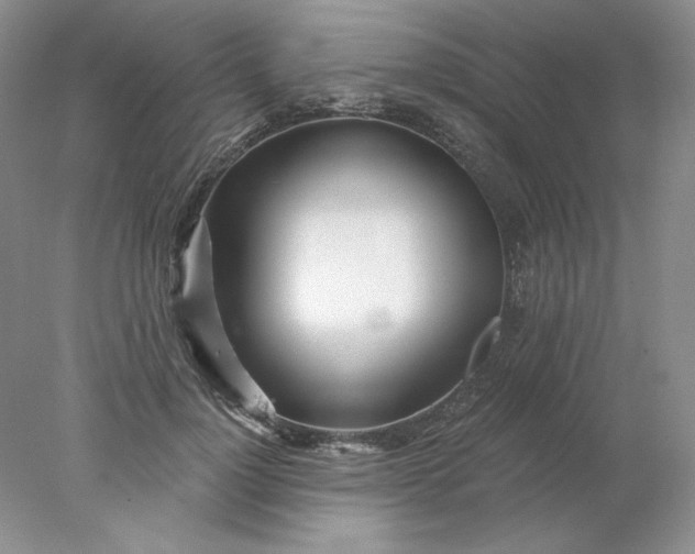 X0000078260748200611172004