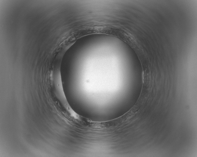 X0000078260750200611172004