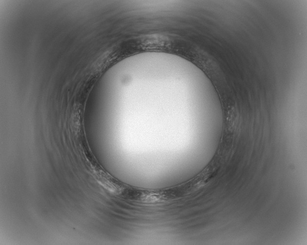 X0000078260753200611172004
