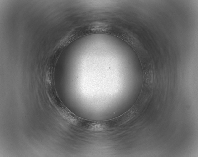X0000078260755200611172004