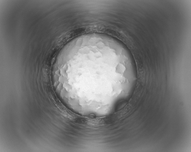 X0000078260757200611172004