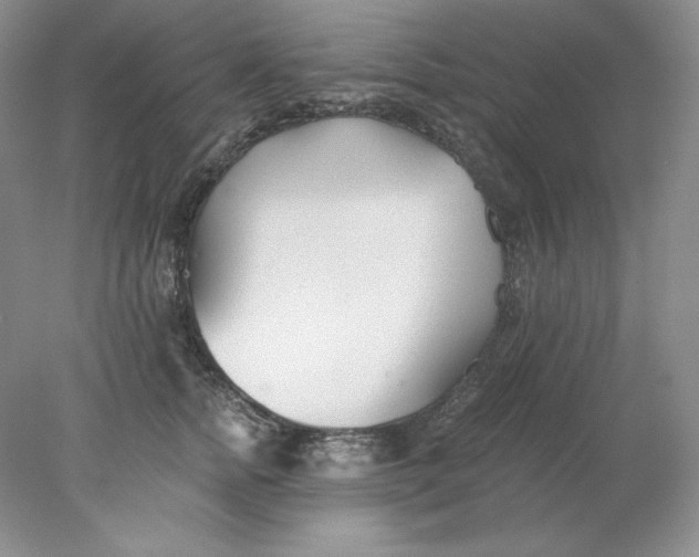 X0000078260758200611172004