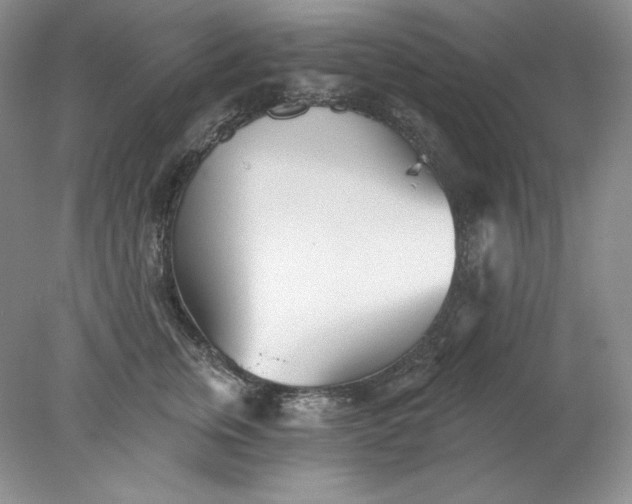 X0000078260759200611172004