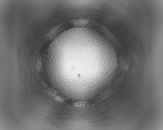 X0000078260761200611172004