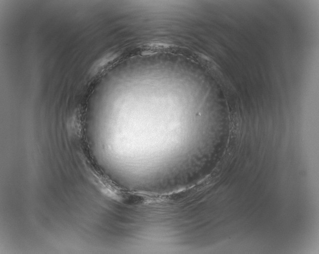 X0000078260762200611172004