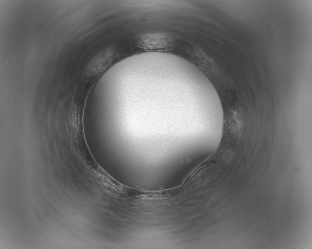 X0000078260763200611172004