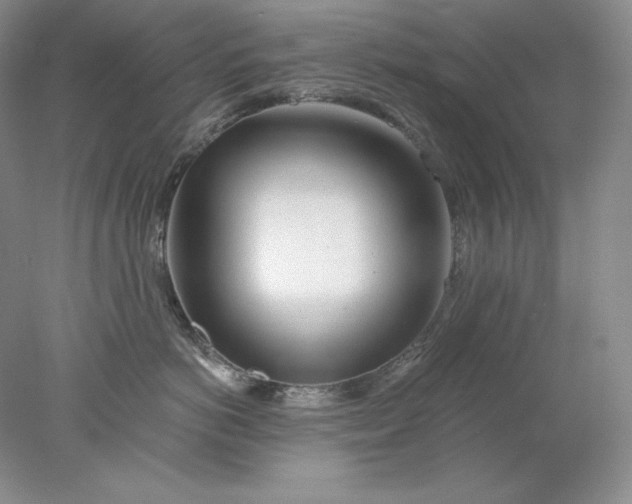 X0000078260766200611172004