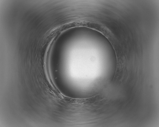 X0000078260773200611172004